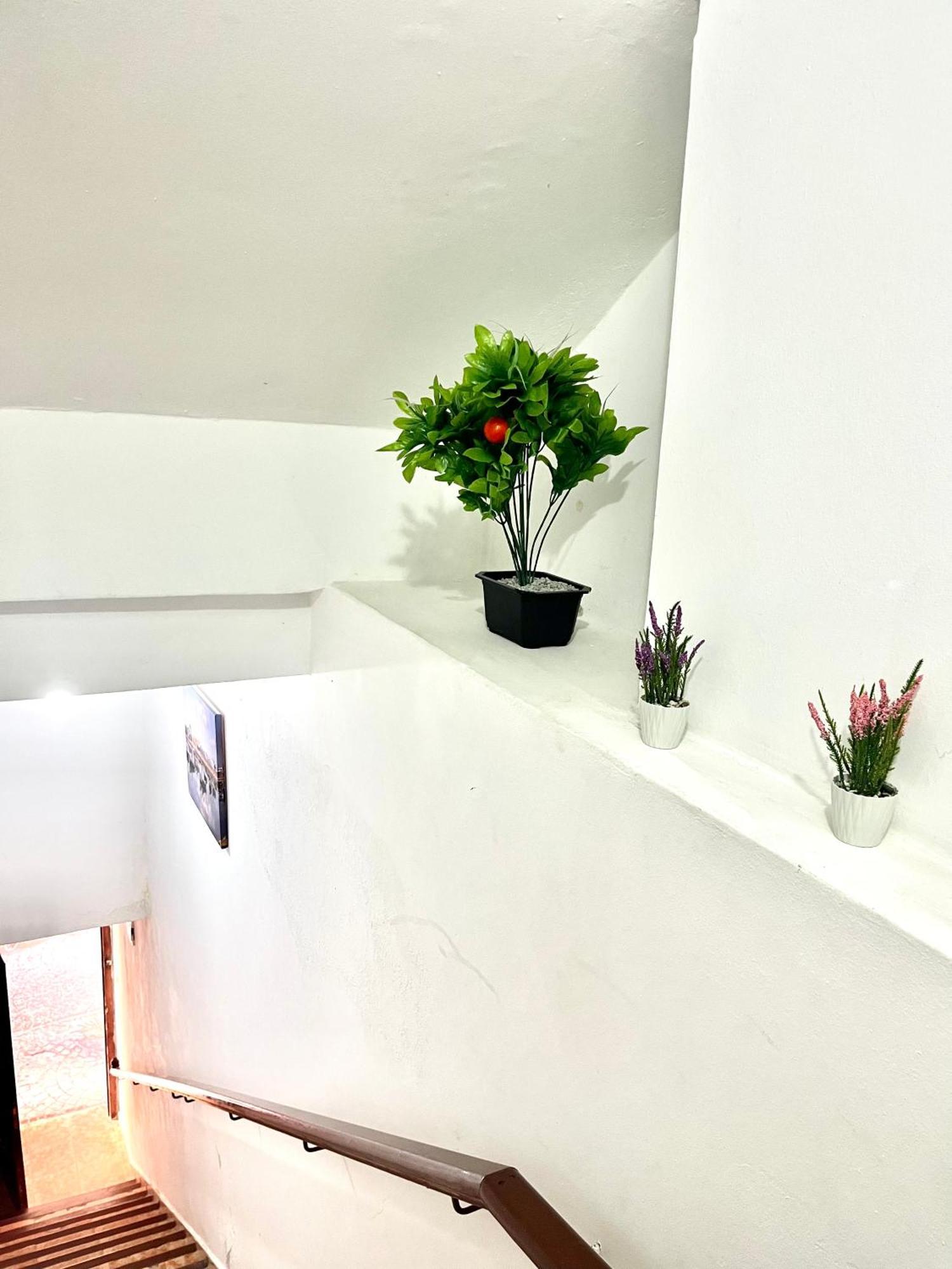 Soleado Apartamento Al Lado De La Preciosa Medina , A 3 Minutos De La Playa Andando I Asilah Ngoại thất bức ảnh